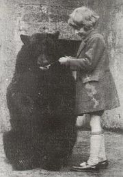Медведица Винни в зоопарке с посетителем (около 1924)