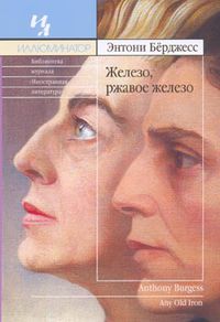 Обложка русскоязычного издания романа «Железо, ржавое железо»