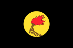 Флаг Заира при Мобуту