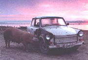 Свинья, поедающая машину — одна из наиболее абсурдных деталей фильма