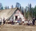 Австро-венгерские военнопленые, 1915 год