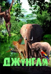 обложка DVD