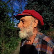 В Новой Зеландии, 1998