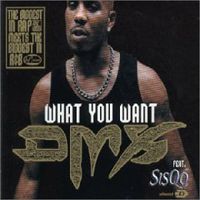 Обложка альбома «What You Want» (DMX, 2006)