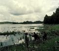 Кадр из фильма